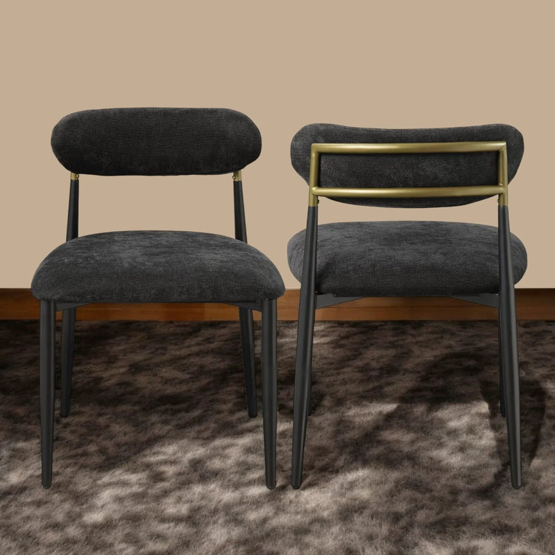 Jaramillo - Contemporary Side Chair (Set of 2) by HouseOfZazla