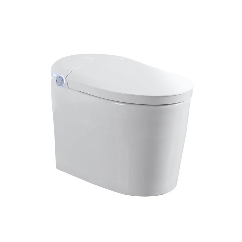 Tankless Smart Toilet With Bidet Built In, 1 Piece, Auto Flush, Auto Open / Close, Heated Seat, Bubble Wash, Warm Water And Dry, Adjustable Temp, Remote Control Side Know - White by HouseOfZazla