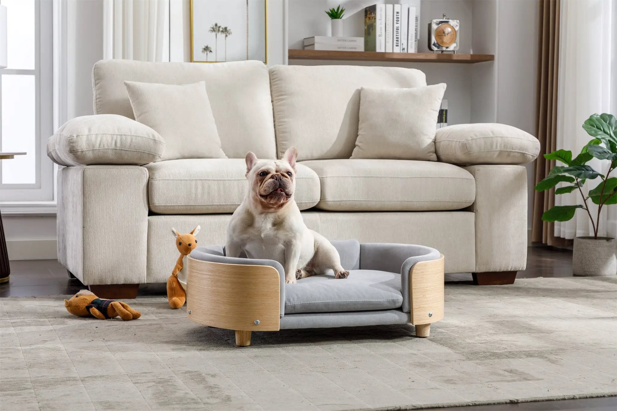Scandinavian Style Elevated Dog Bed Pet Sofa Velvet Cushion Mid Size Light Grey by HouseOfZazla