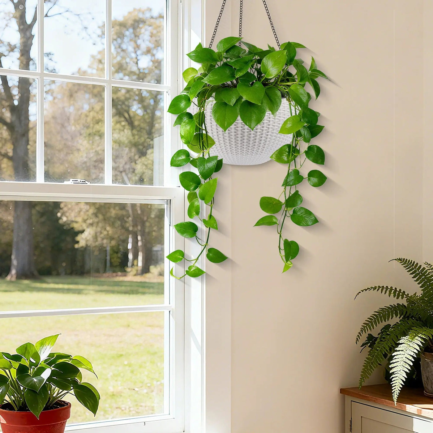 Self Watering Hanging Planter by HouseOfZazla