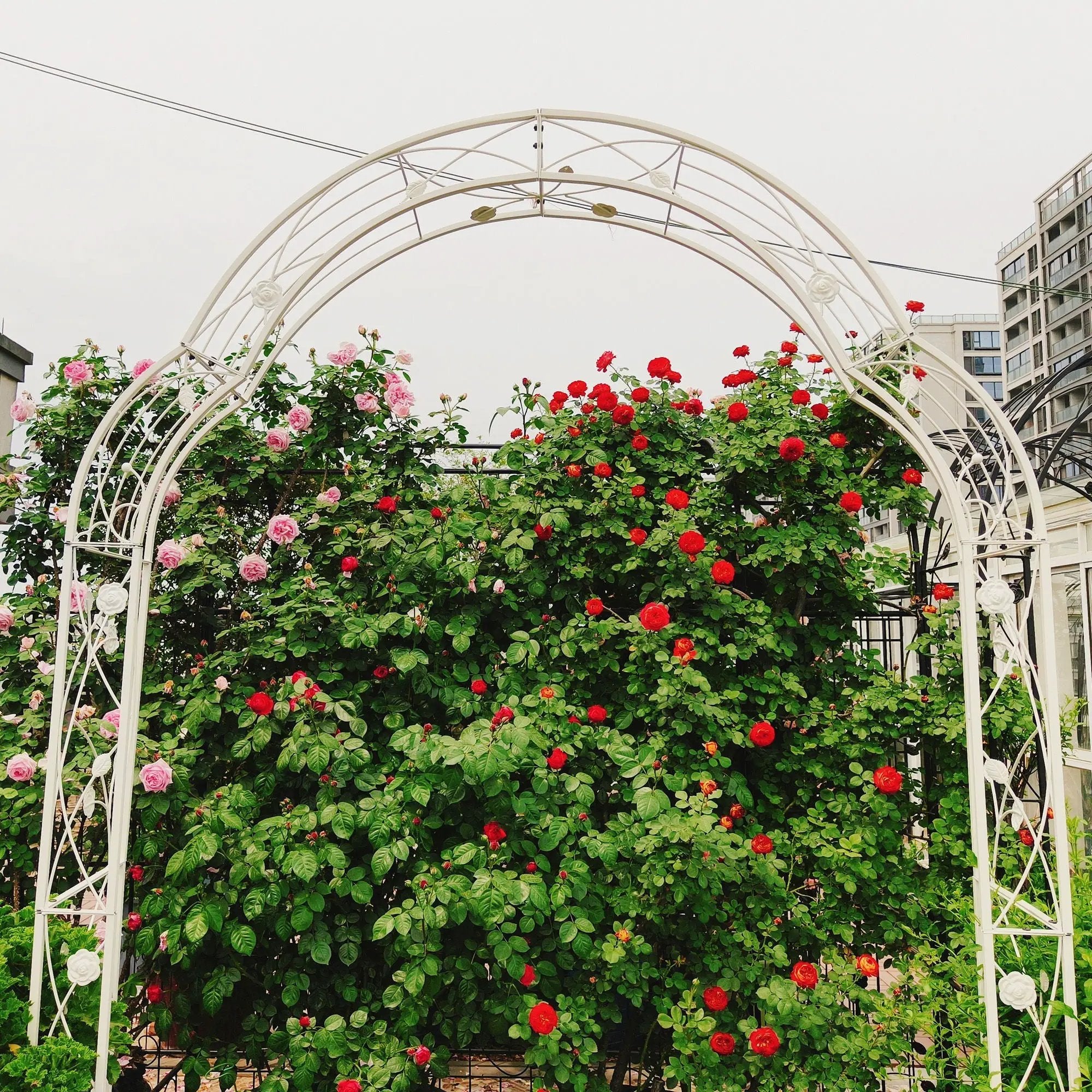 Metal Garden Arch Assemble Freely With 8 Styles Garden Arbor Trellis Climbing Plants Support Rose Arch by HouseOfZazla