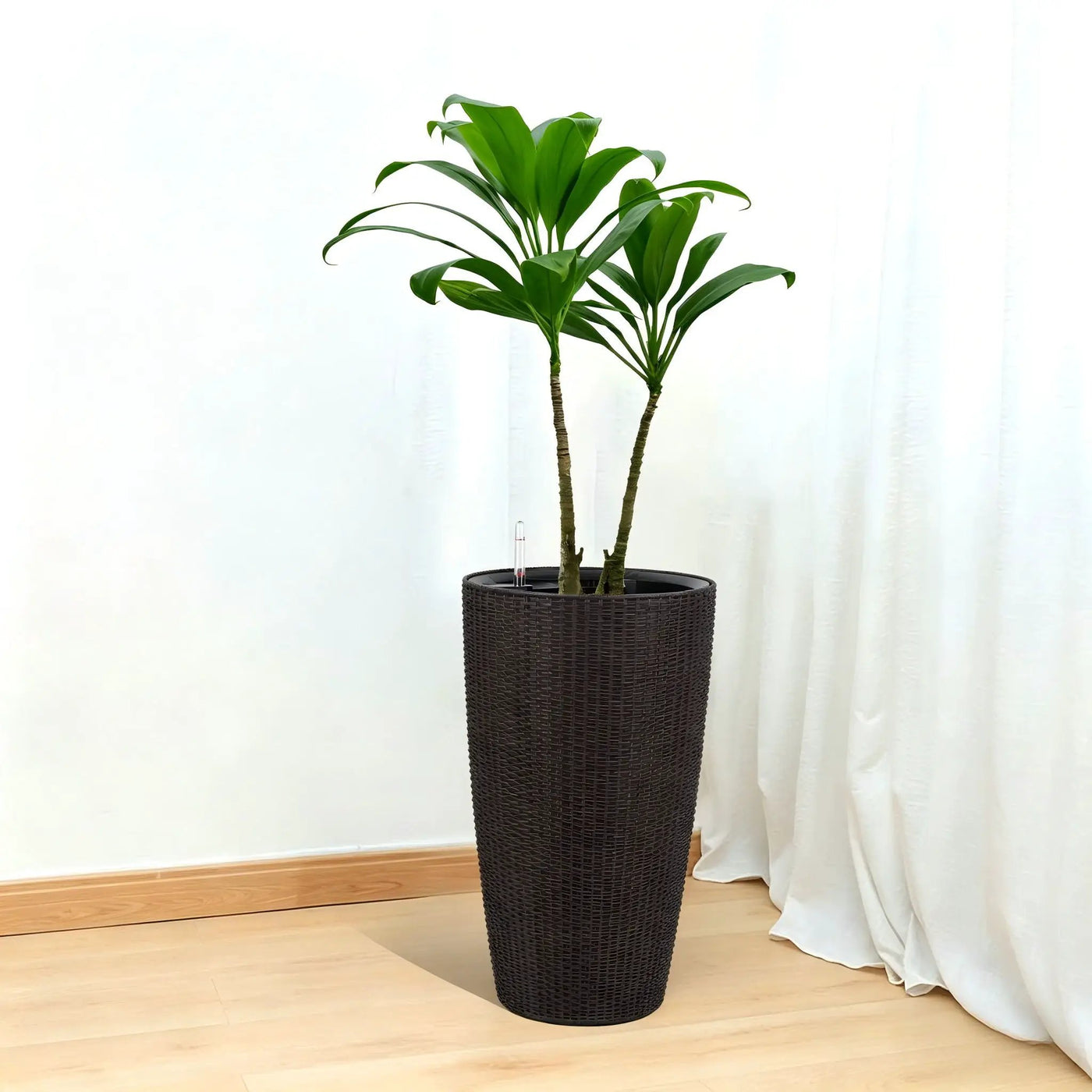 Tall Planters Set With Water Level Monitor And Auto Watering by HouseOfZazla