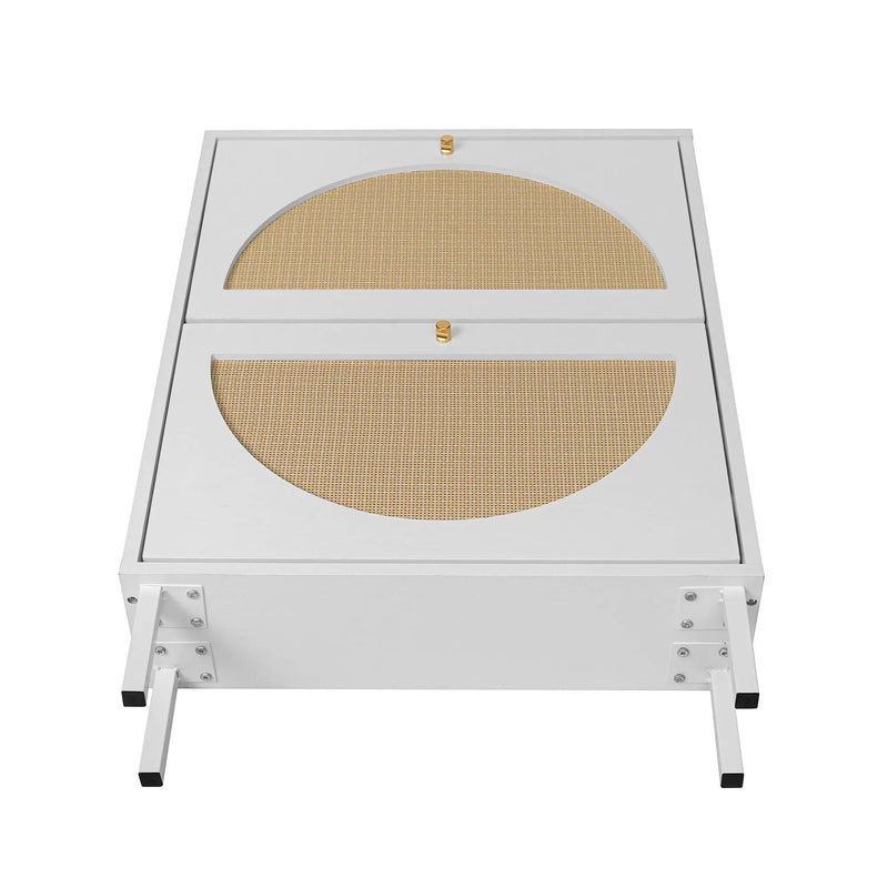 2 Door Shoe Rack, Rattan, Double Layer, Suitable For Living Room, Hallway - White by HouseOfZazla
