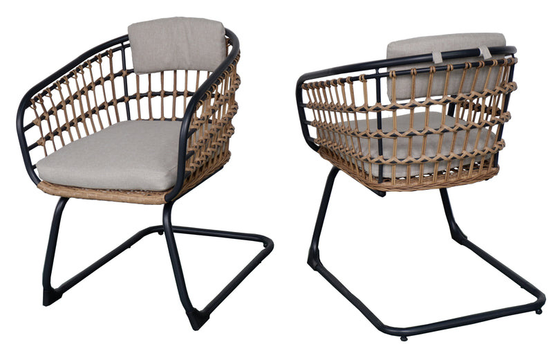 Wicker Dining Chair Set of 2 by HouseOfZazla