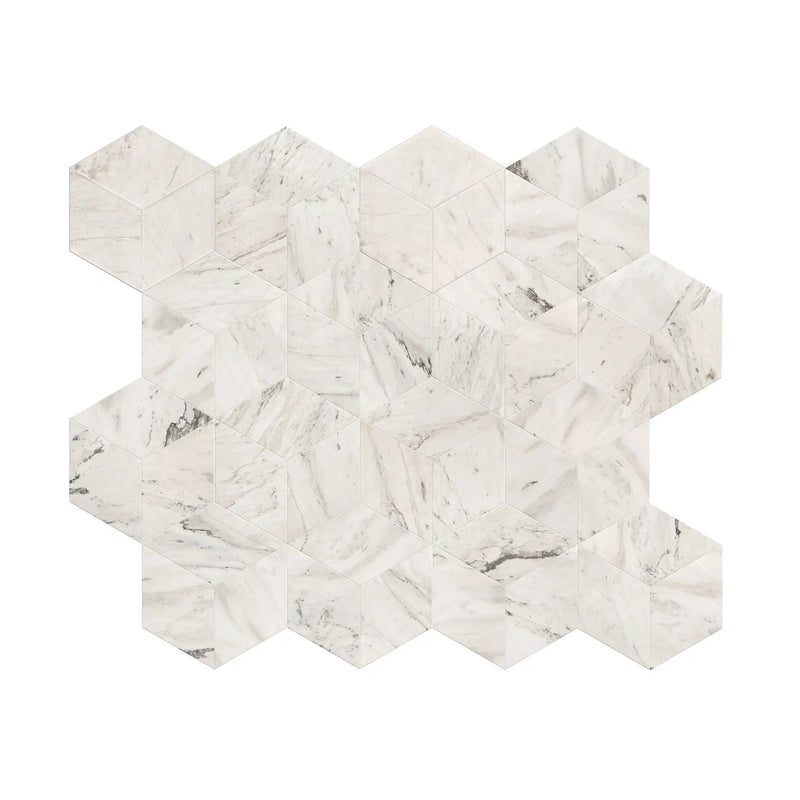 Hexagon Natural Marble Polished Tile For Wall And Floor (Set of 12) by HouseOfZazla