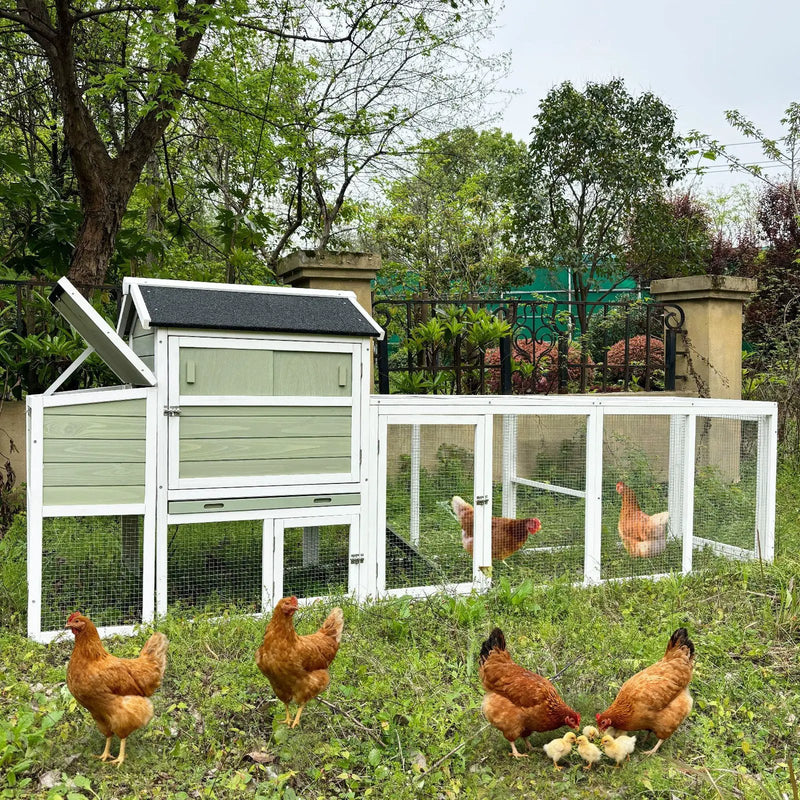 Wooden Chicken Coop, Large Outdoor Hen House with Run and Nesting Box by HouseOfZazla