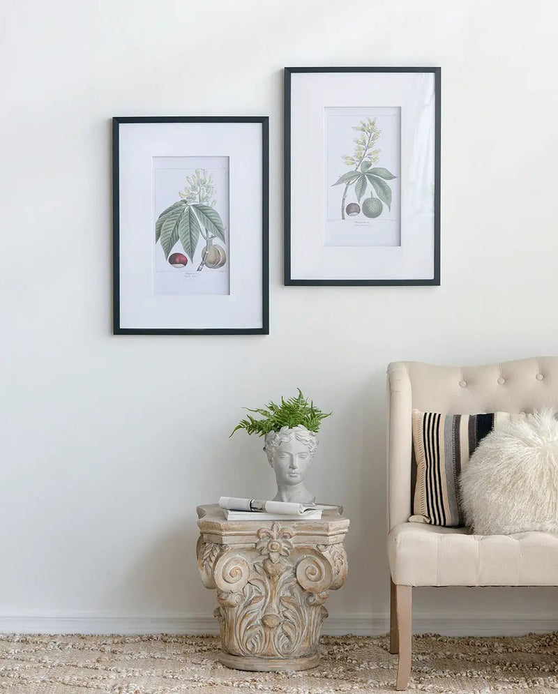 19.7x27.6 Botanical Wall Arts, Set of 2 by HouseOfZazla