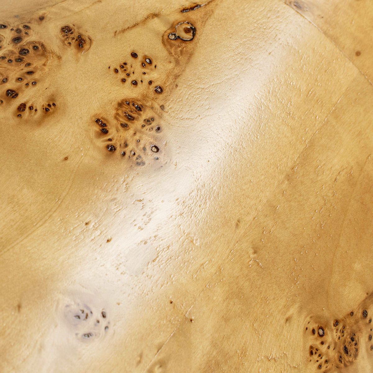 Nebula Accent Pillar Side Table with Burl Wood Veneer - Light or Dark Brown, photo 25 of 28