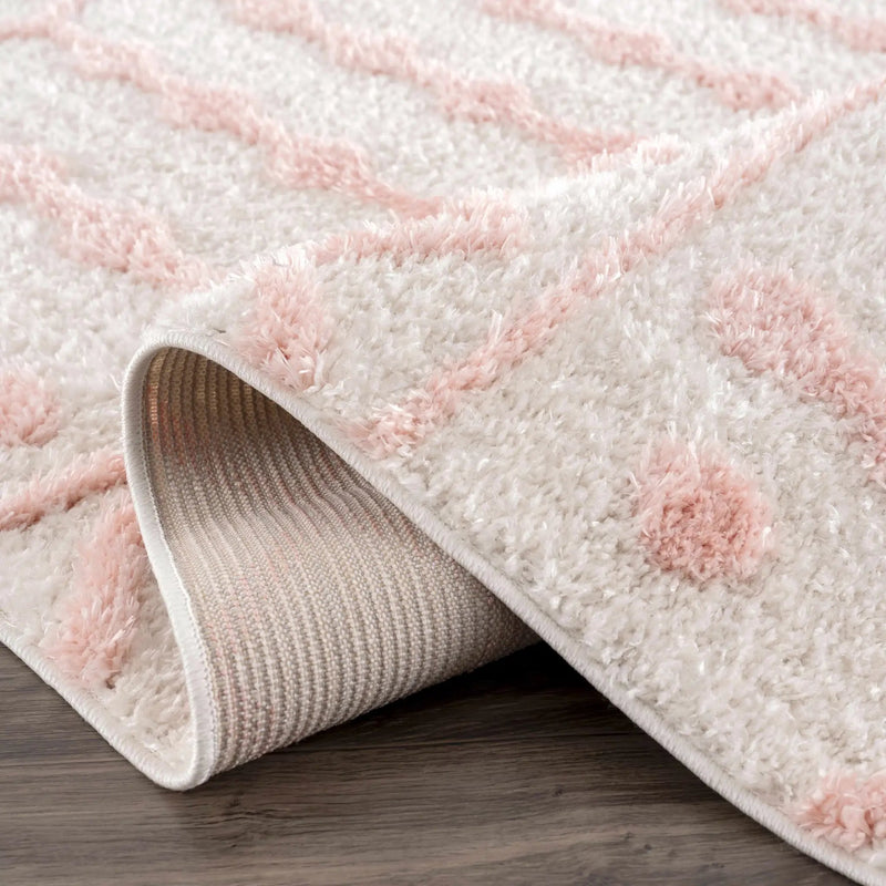 Darva Pink Plush Area Carpet by Boutique Rugs