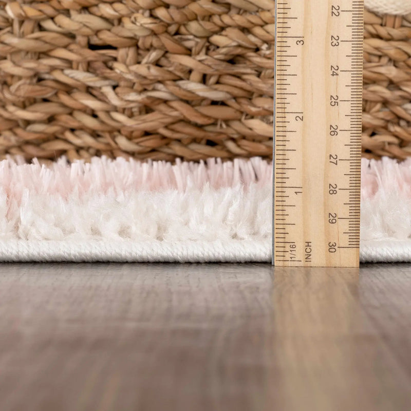 Darva Pink Plush Area Carpet by Boutique Rugs