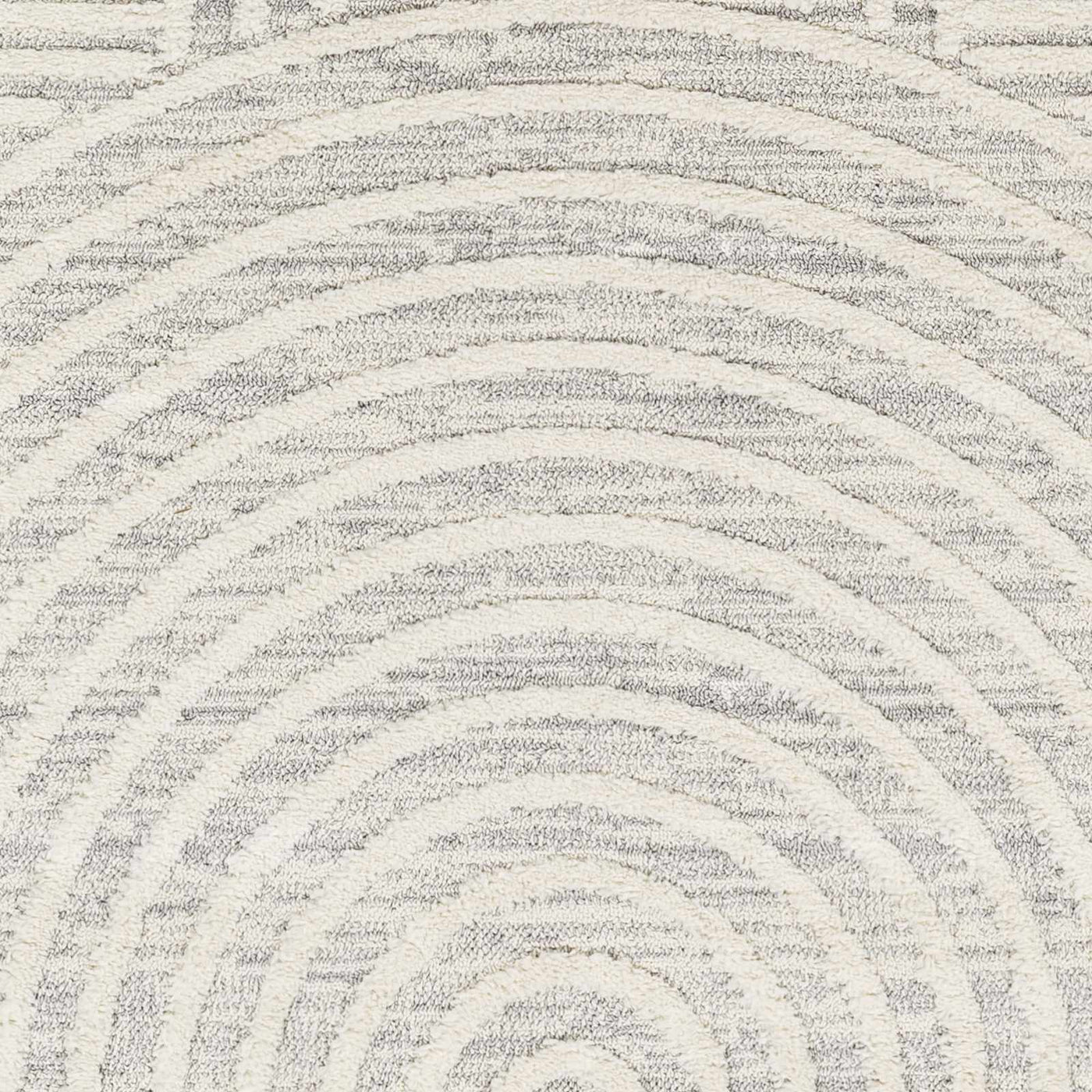 Dauin 3D Rainbow Area Rug with Tassels by Boutique Rugs