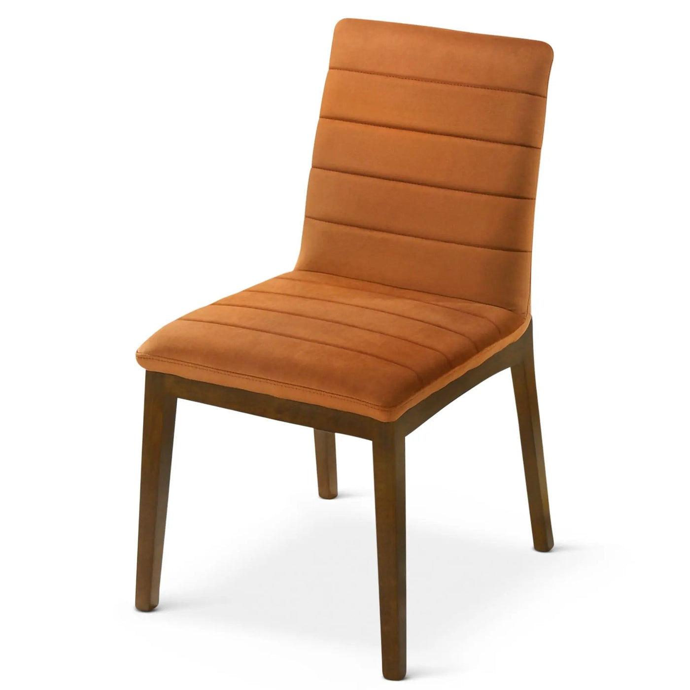 Ines - Modern Dining Chair (Set of 2) by HouseOfZazla