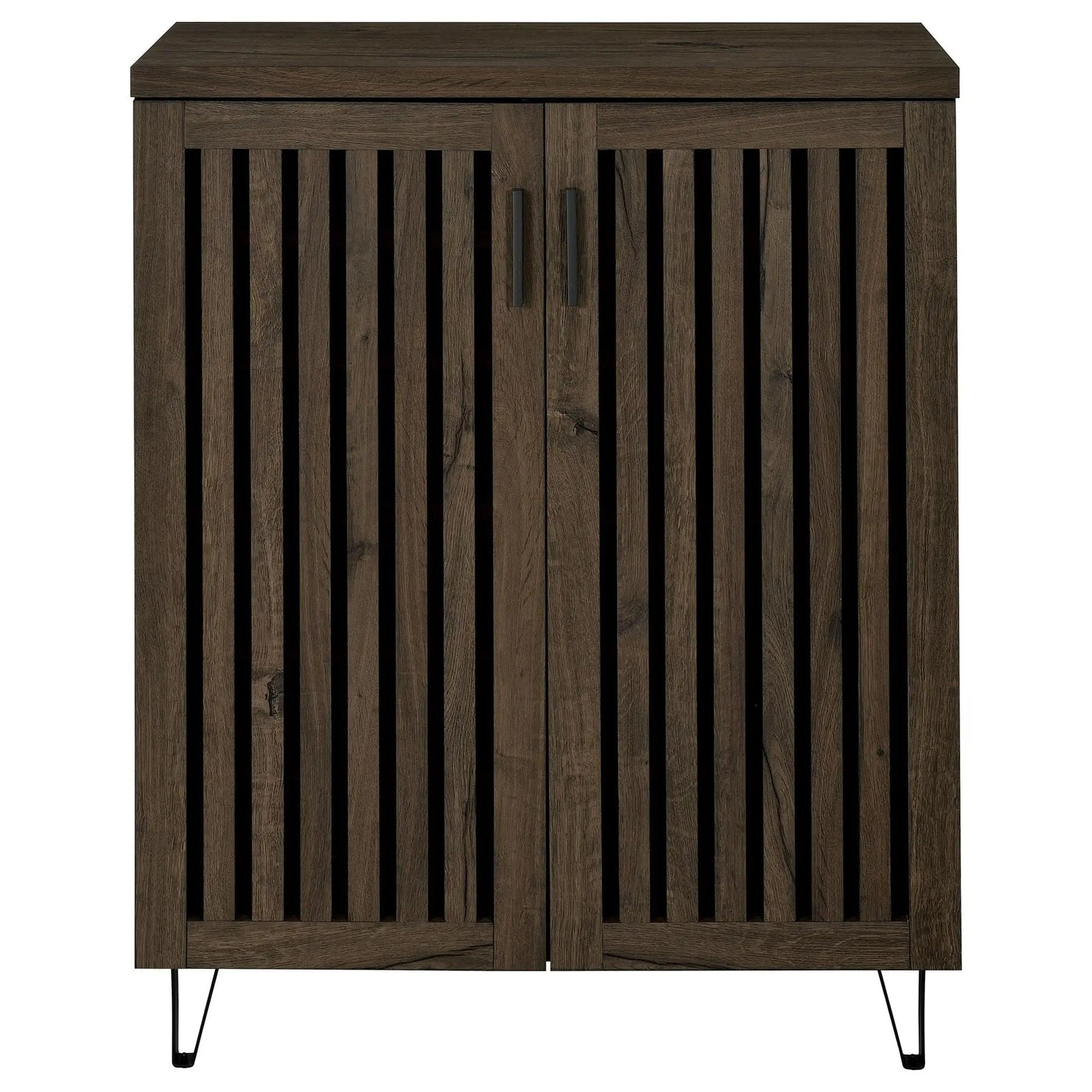 Clackamas - 2 Door Storage Cabinet With Adjustable Shelves by HouseOfZazla