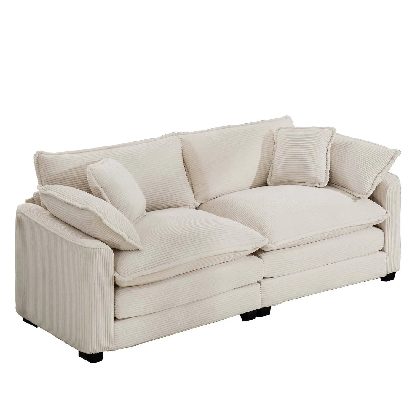 Modern 2 Seater With 4 Pillows, Upholstered Deep Seating Loveseat by HouseOfZazla