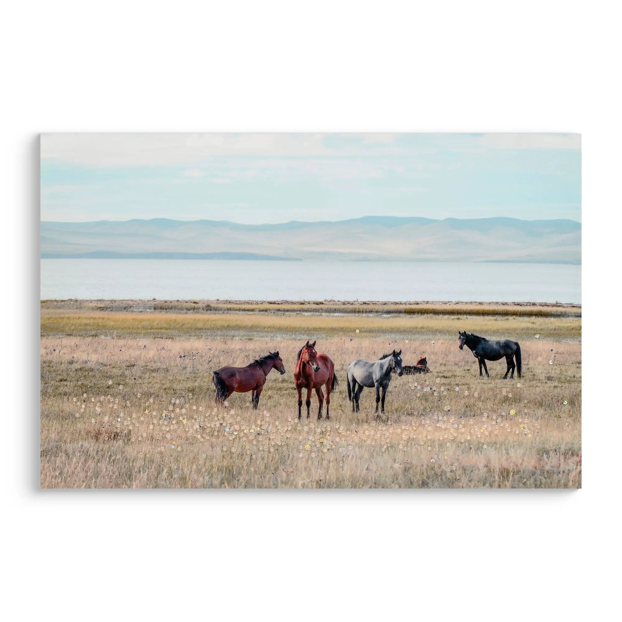 Horse Framed Wall Art Decor For Living Room - Denim / Brown by Unique Piece Furniture