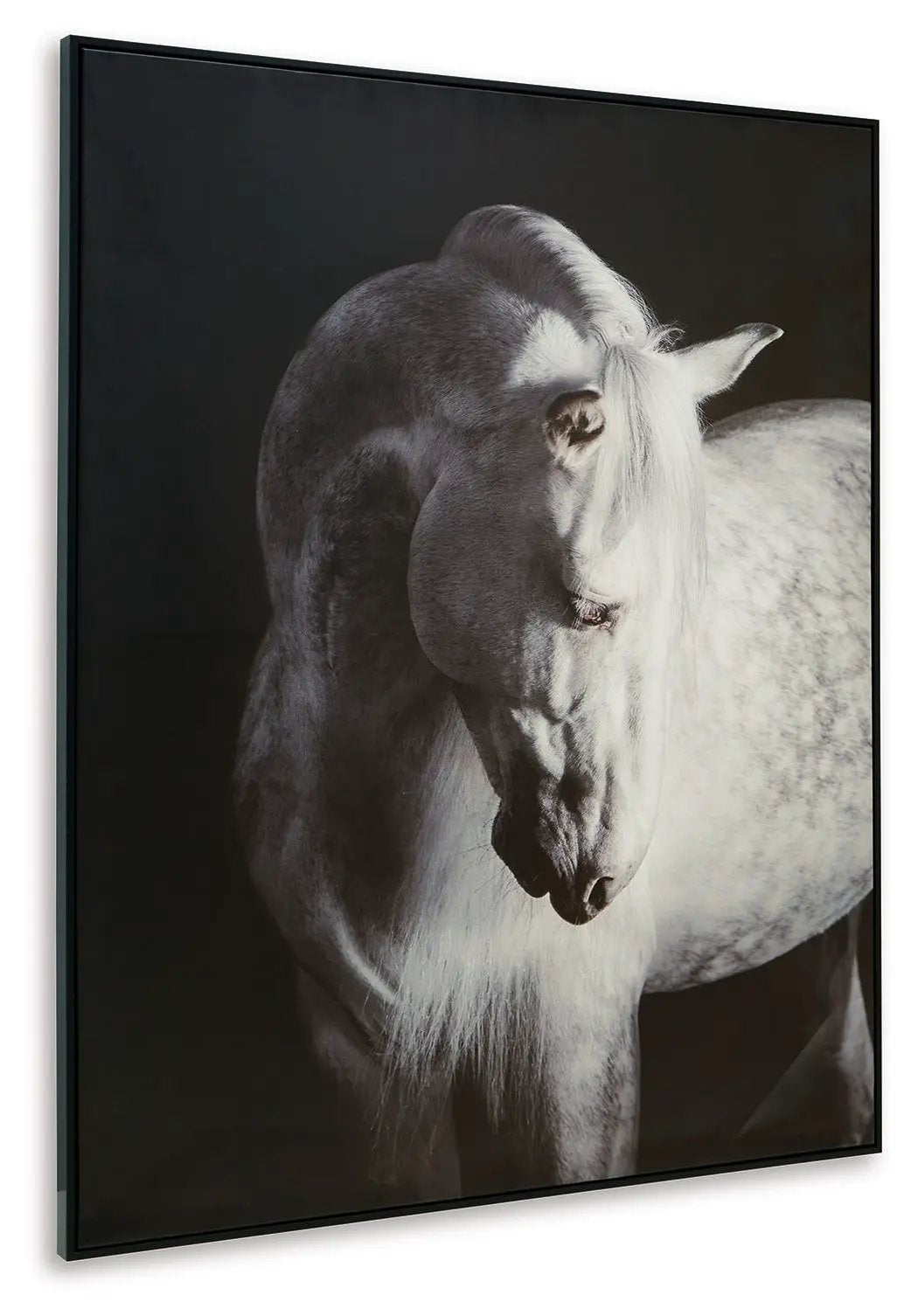 Archerwick - Wall Art - Black / White by Unique Piece Furniture