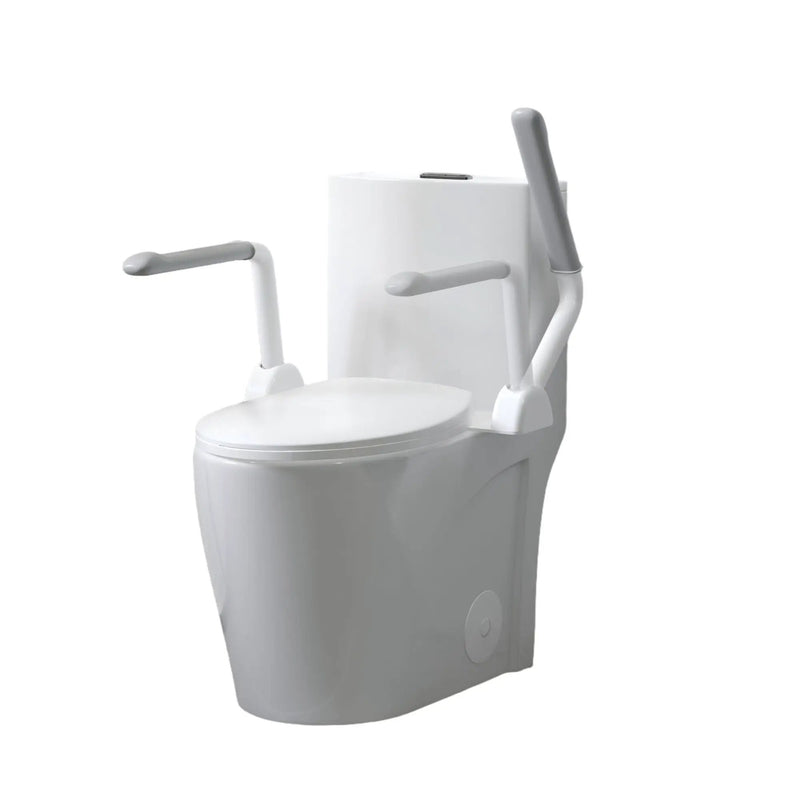 Upgraded Design Armrest, With Glossy Gw 007 1 Piece Toilet With Tornado Flush, Soft Close Seat, Dual Flush Map 1000G, Comfort Chair Seat - Gloss White by HouseOfZazla