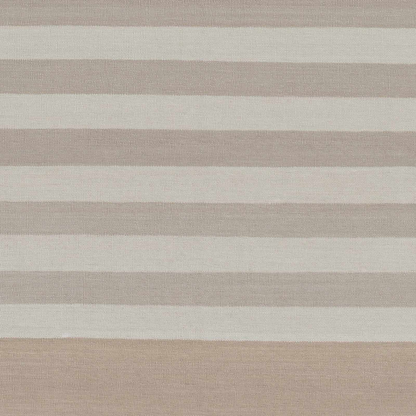 Decordova Area Carpet - Clearance by Boutique Rugs
