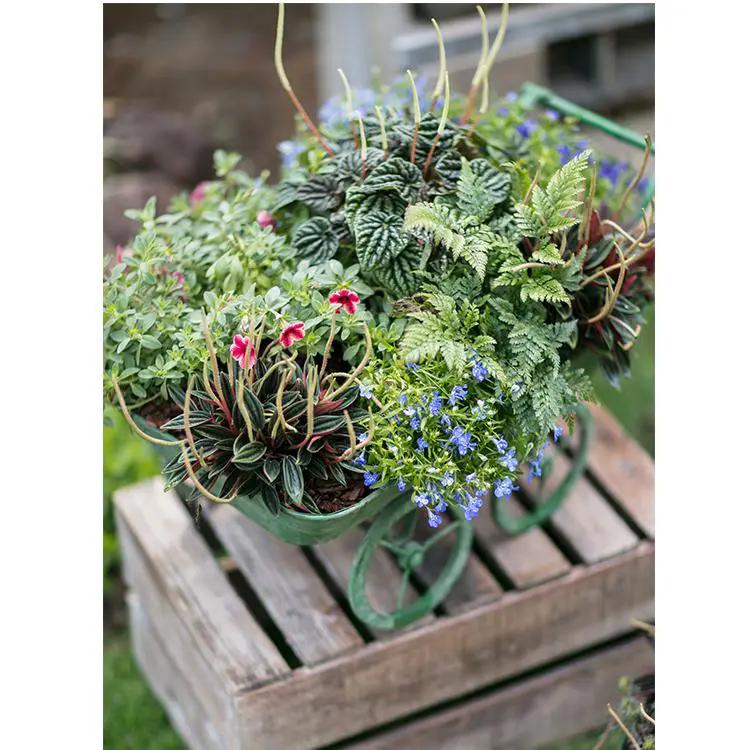 Decorative Planter Cart Green Metal Cart Planter by RusticReach