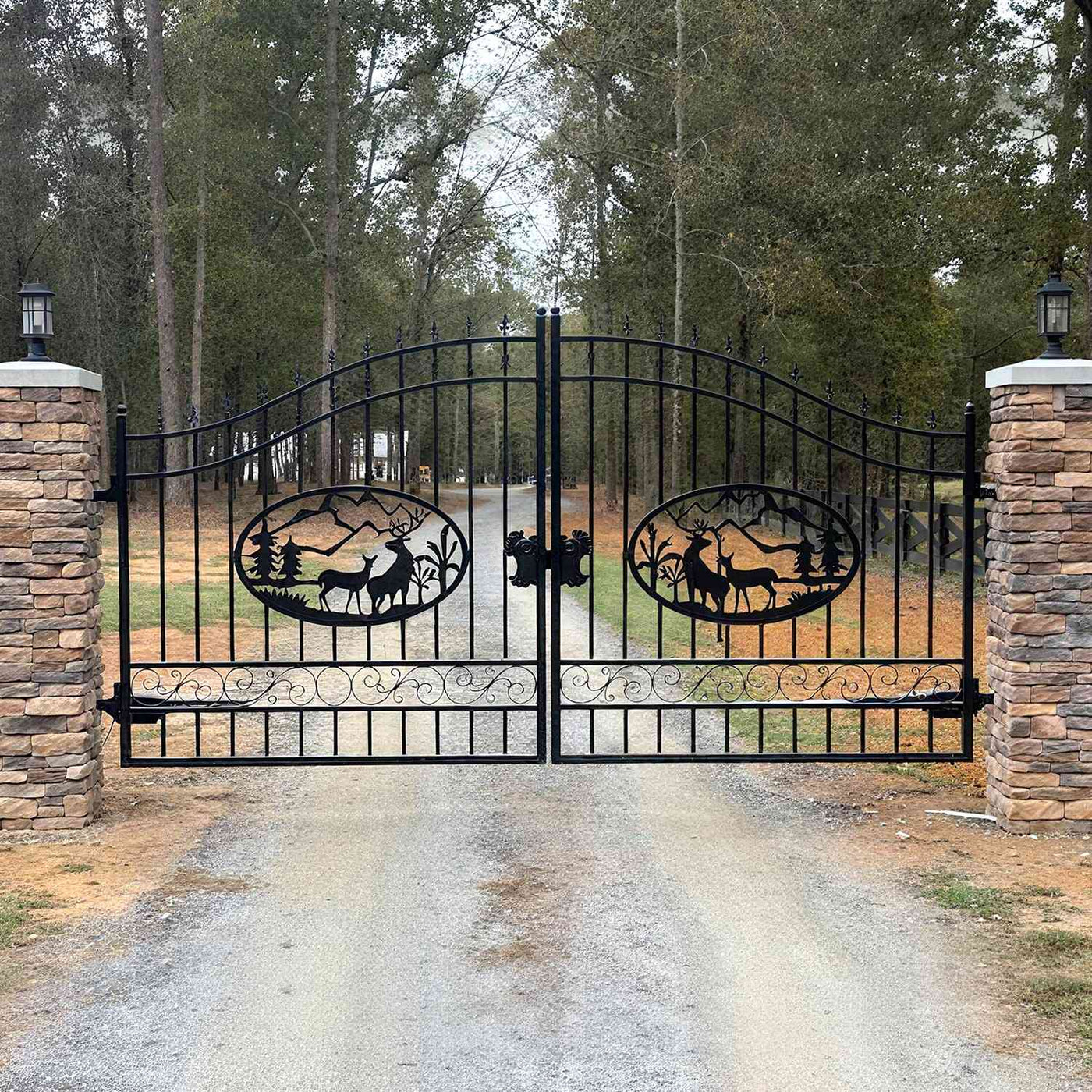 14x8 ft Steel Dual Swing Driveway Gate by Chery Industrial