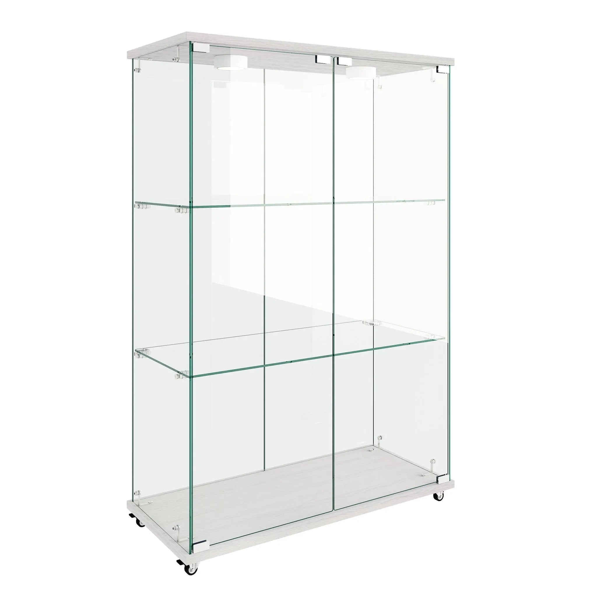 Modern Display Cabinet With LED Lights, Transparent Tempered Glass 2 Door Storage Case With 3 Shelves by HouseOfZazla