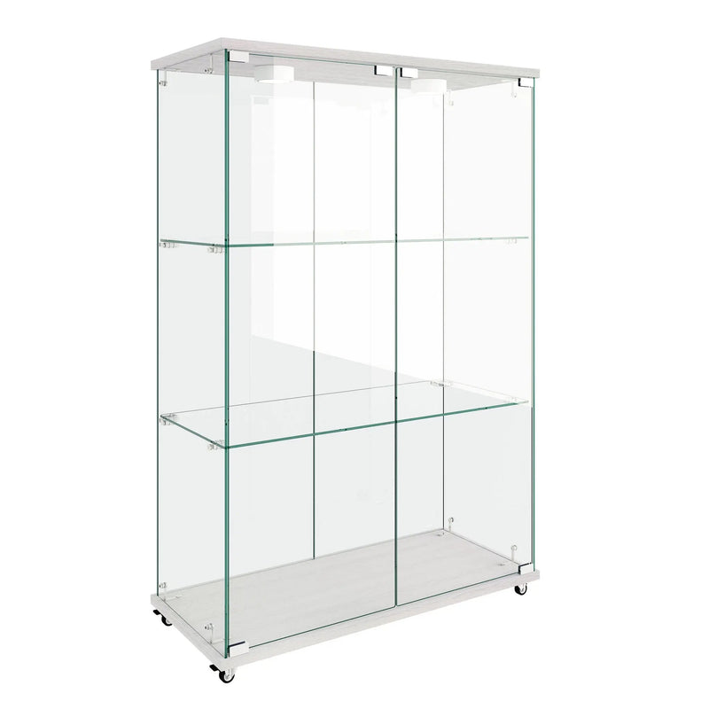Modern Display Cabinet With LED Lights, Transparent Tempered Glass 2 Door Storage Case With 3 Shelves by HouseOfZazla
