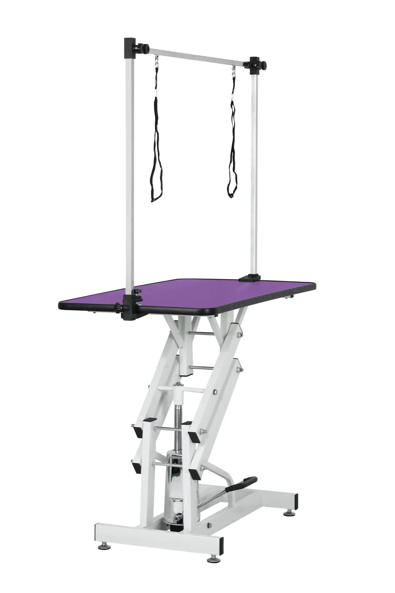 Hydraulic Pet Grooming Table With "H" Arm by HouseOfZazla