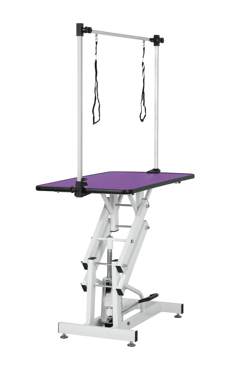 Hydraulic Pet Grooming Table With "H" Arm by HouseOfZazla