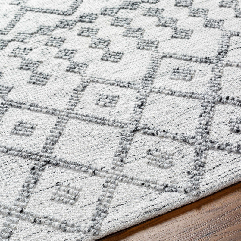 Dima Area Rug - Clearance by Boutique Rugs