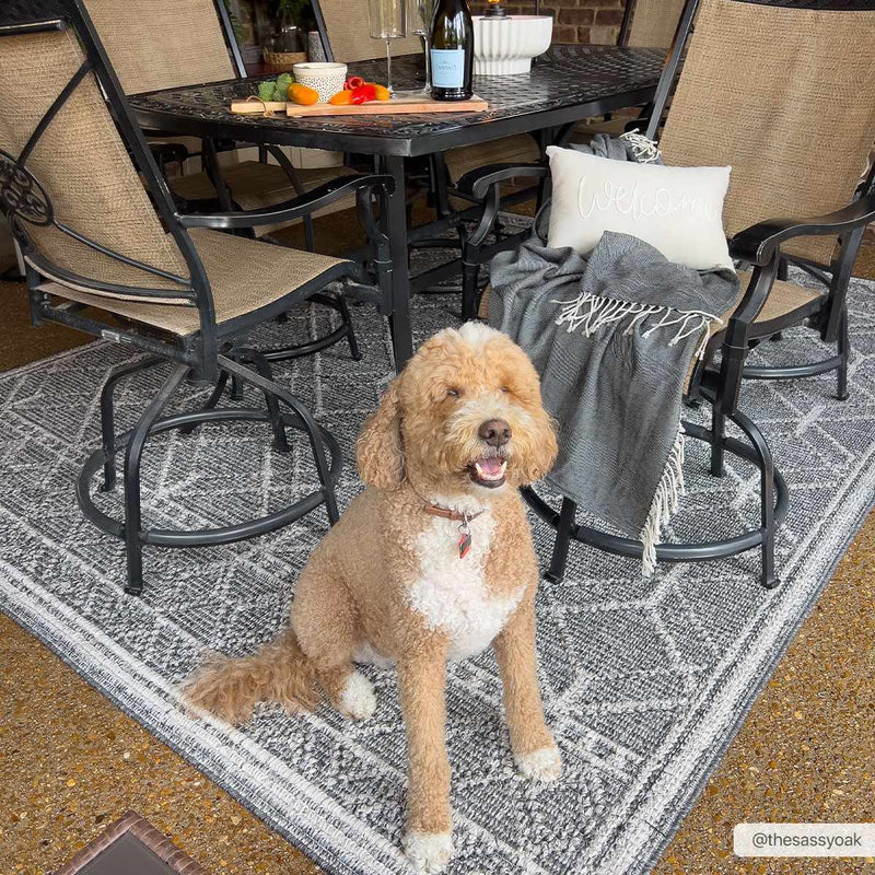 Diah Black & Bone Outdoor Area Rug - Clearance by Boutique Rugs