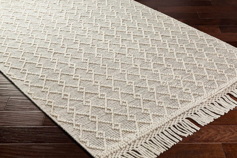 Diata Wool Rug with Tassels - Clearance by Boutique Rugs