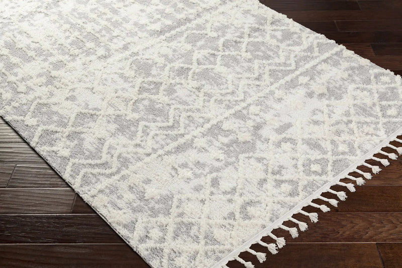 Dolo Area Rug - Clearance by Boutique Rugs