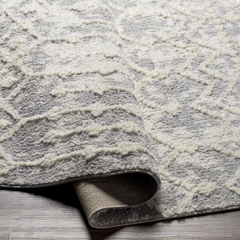Dolo Area Rug - Clearance by Boutique Rugs
