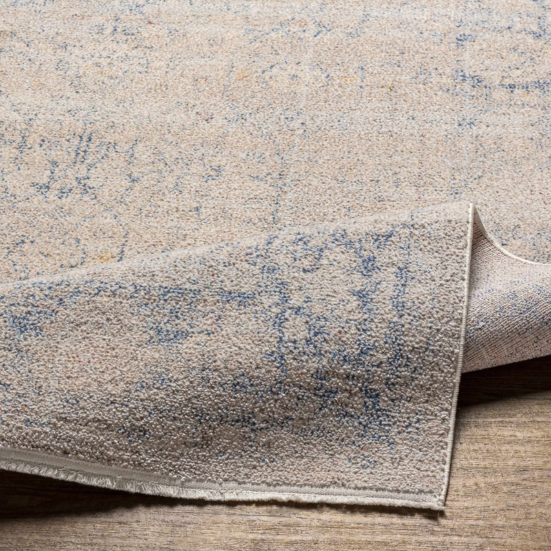 Dian Area Rug - Clearance by Boutique Rugs