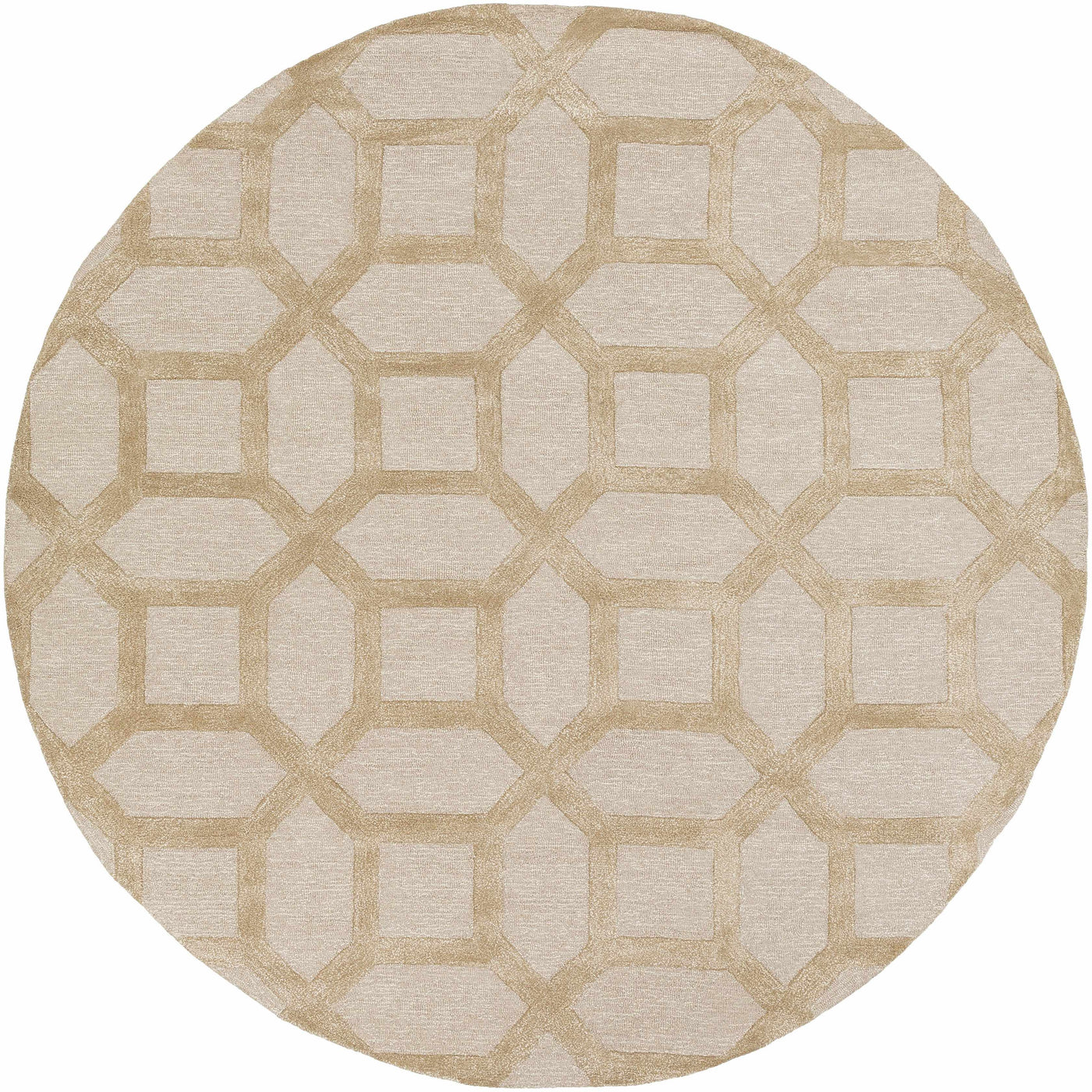 Dodgertown Area Rug by Boutique Rugs