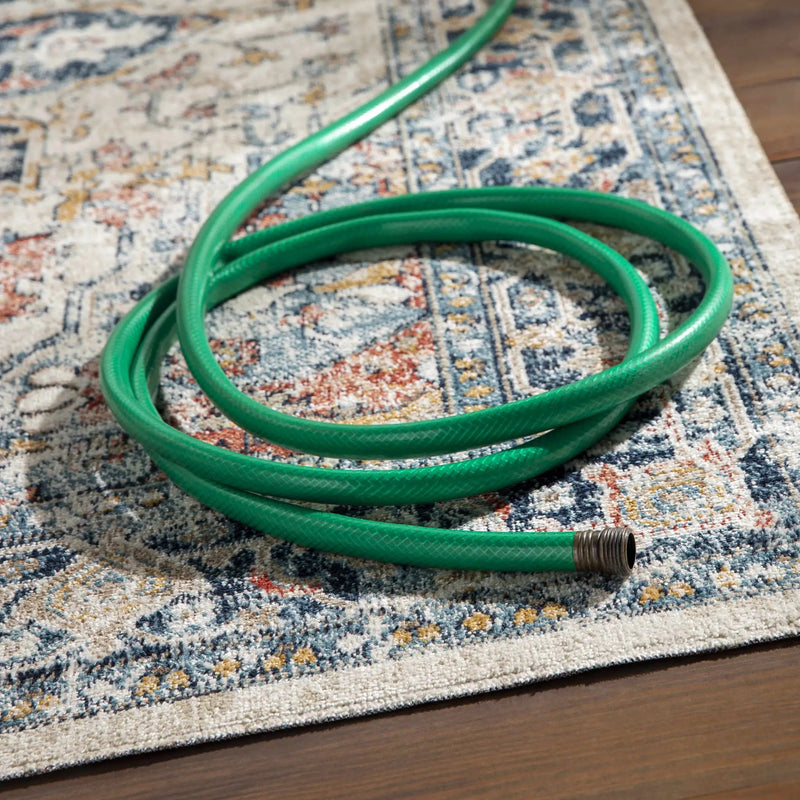 Dorval Traditional Outdoor Rug by Boutique Rugs