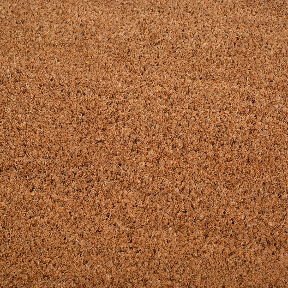 Double Black Border Coir Doormat, photo 14 of 24