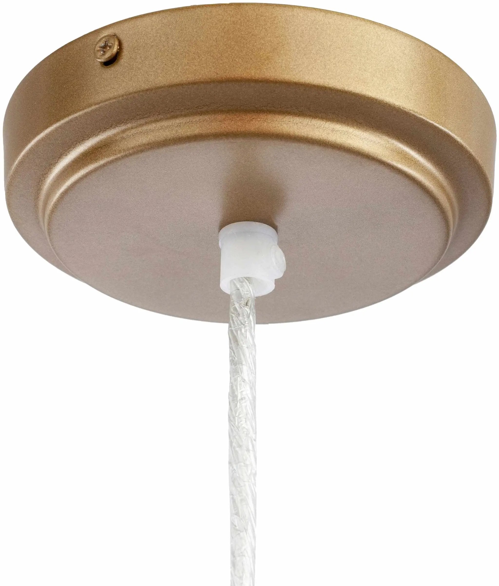 Dows Ceiling Light - Clearance by Boutique Rugs