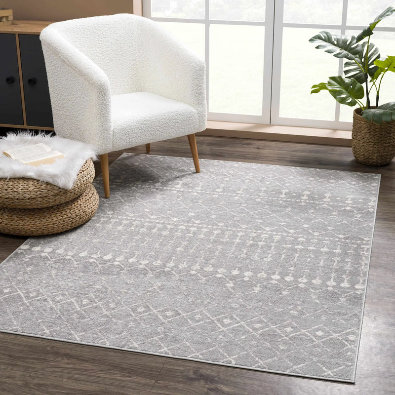 Tigrican Light Gray 2334 Area Rug - Clearance by Boutique Rugs