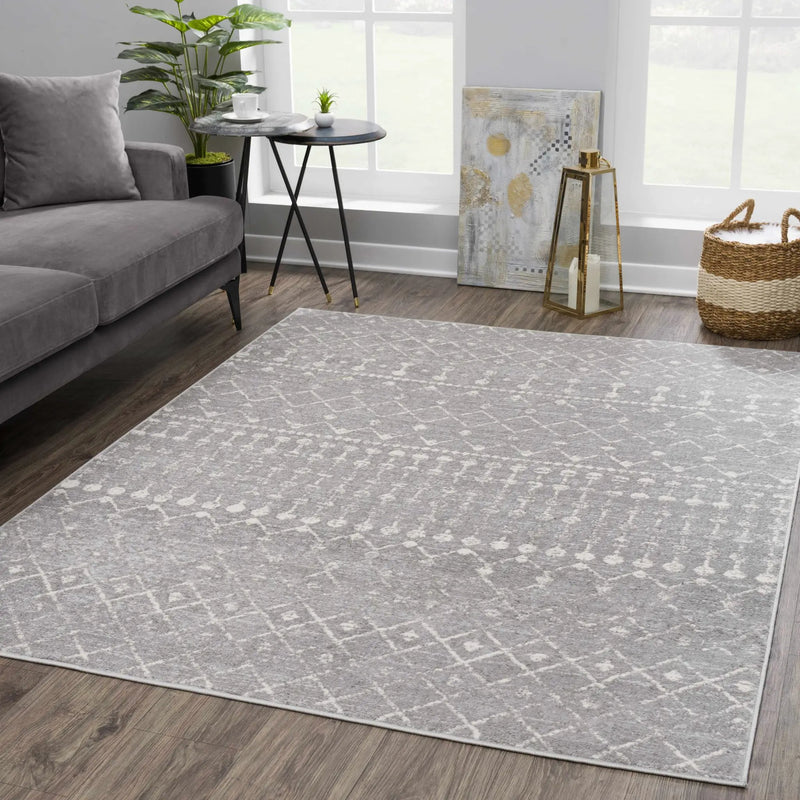 Tigrican Light Gray 2334 Area Rug - Clearance by Boutique Rugs