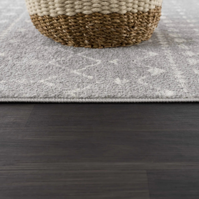 Tigrican Light Gray 2334 Area Rug - Clearance by Boutique Rugs