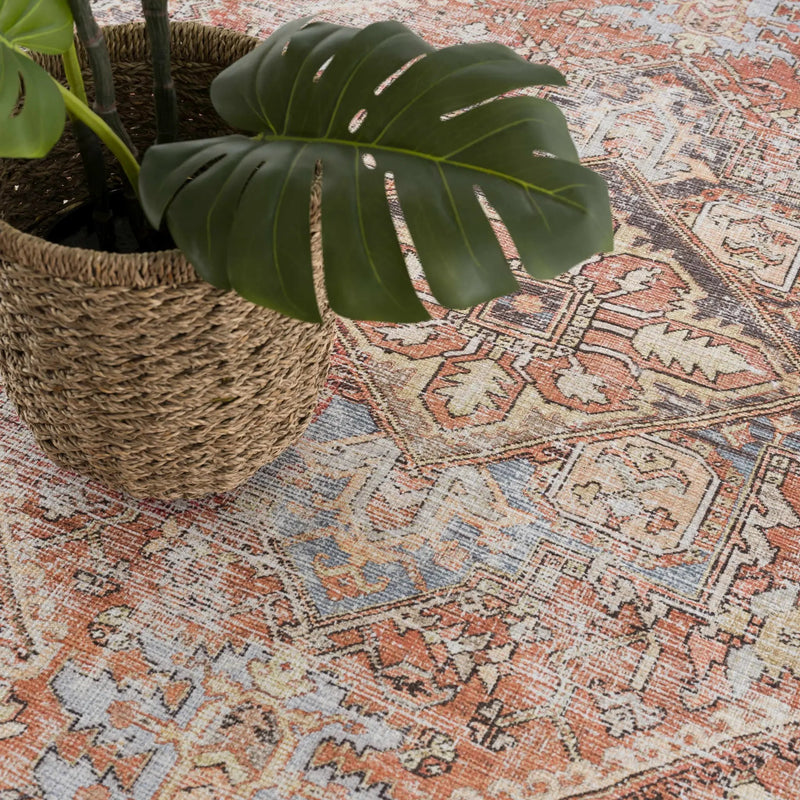 Eira Distressed Washable Rug - Clearance by Boutique Rugs