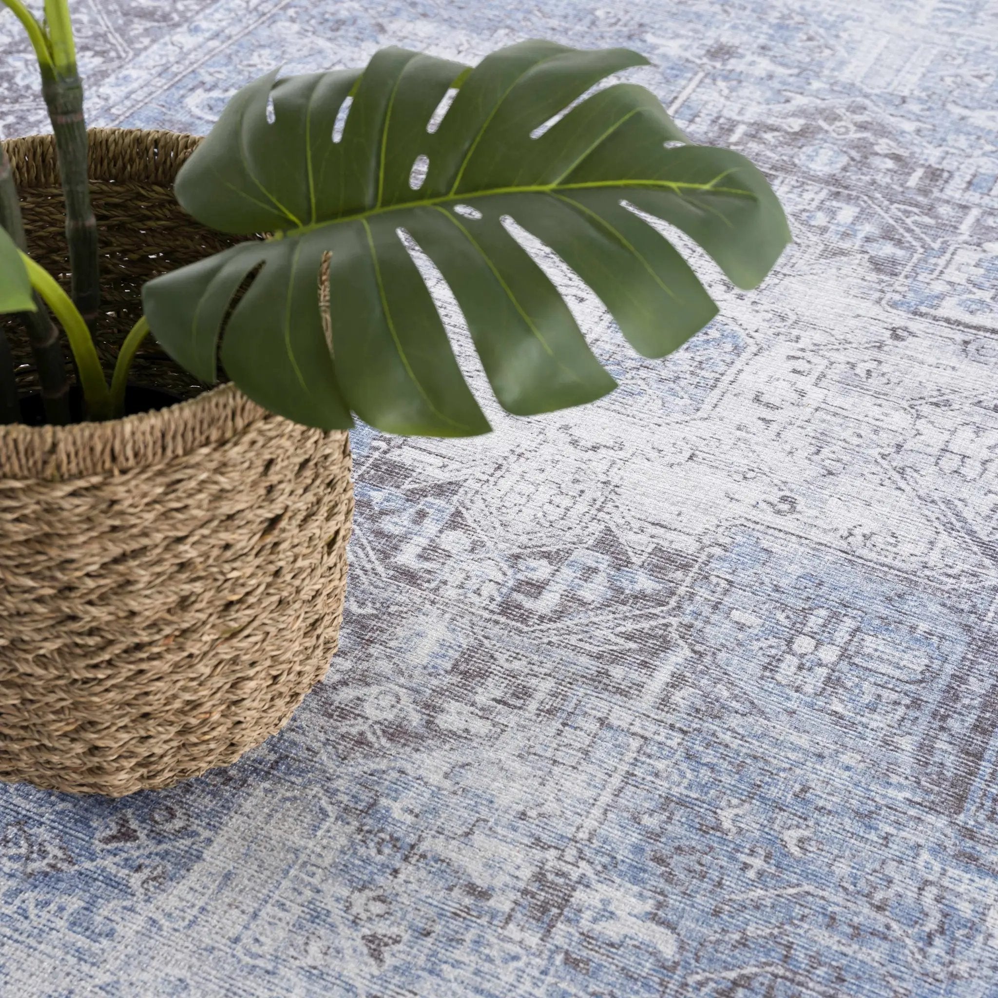 Pays Area Rug - Clearance by Boutique Rugs