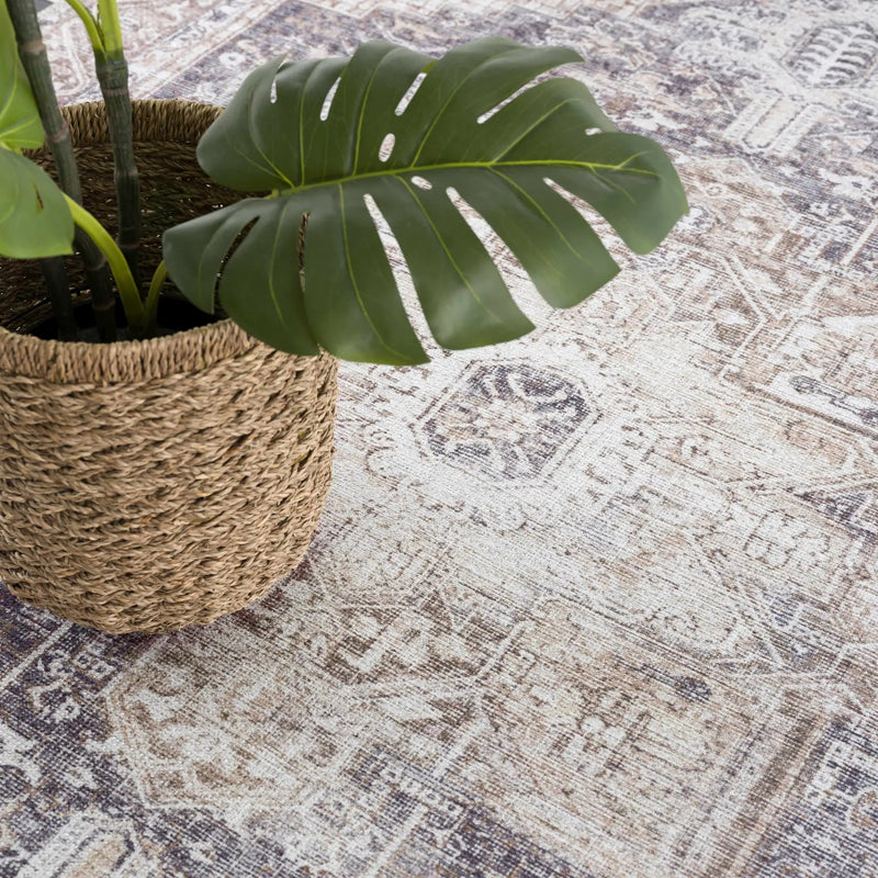 Beige Rosman Washable Area Rug - Clearance by Boutique Rugs
