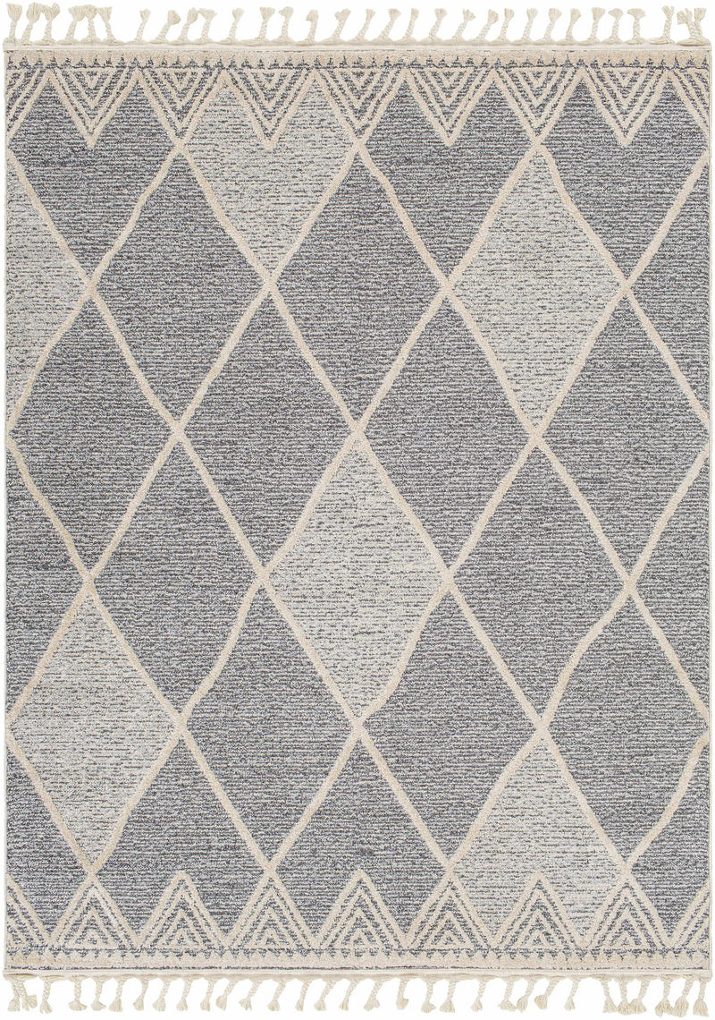 Dumlan Area Carpet - Clearance by Boutique Rugs