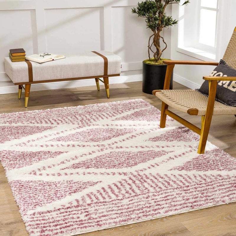 Trunding Plush in Pink Area Rug - Clearance by Boutique Rugs