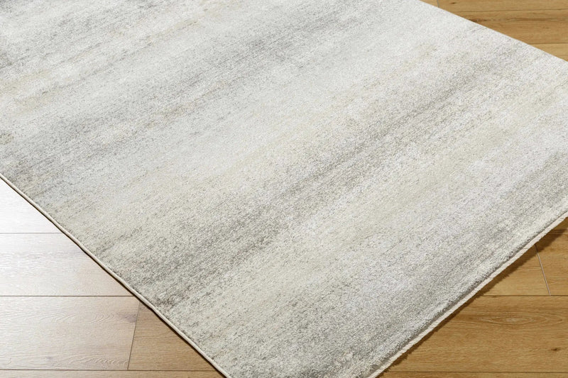Uzima Gray Area Rug - Clearance by Boutique Rugs