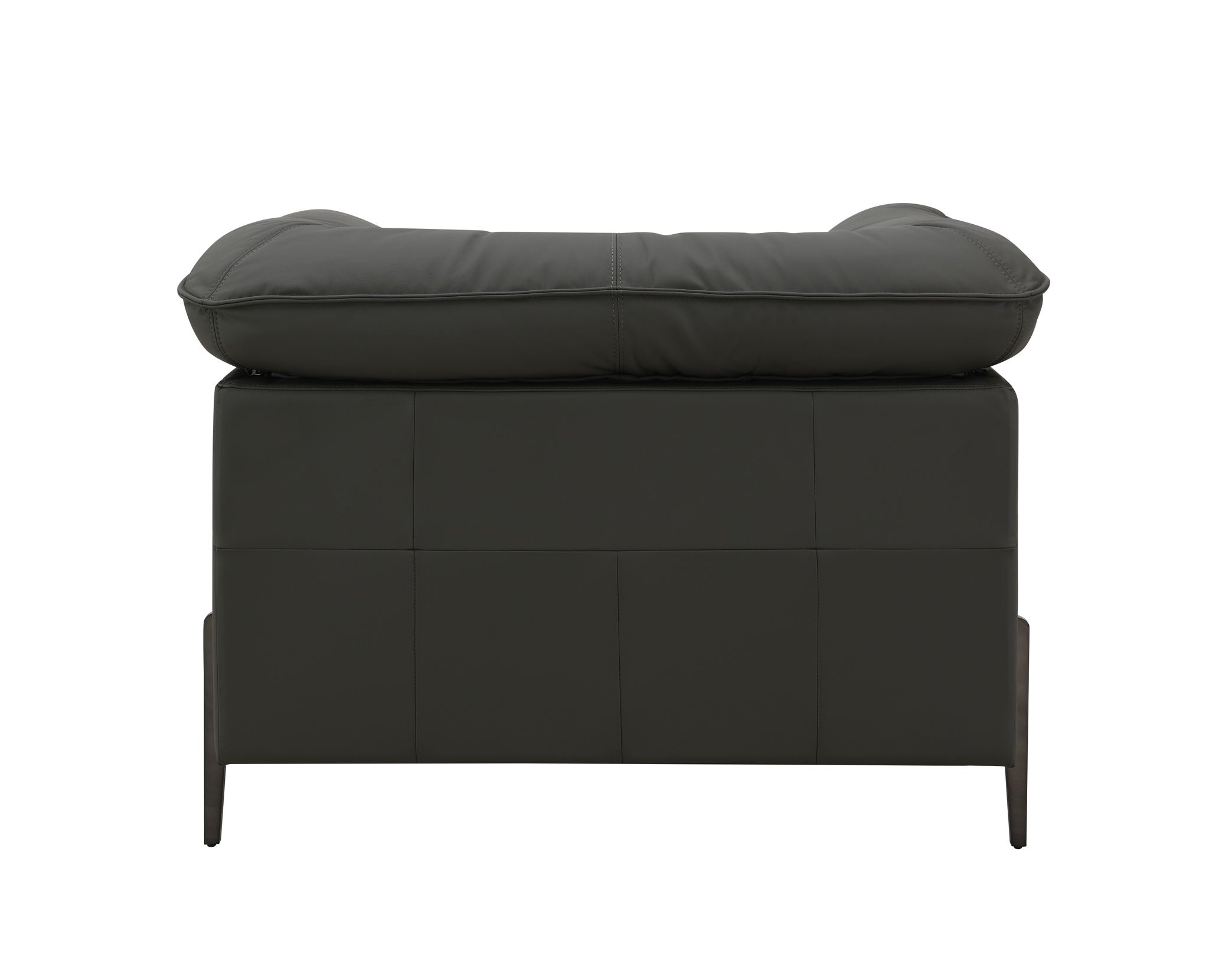 Tadi - Top Grain Leather Chair - Black by HouseOfZazla