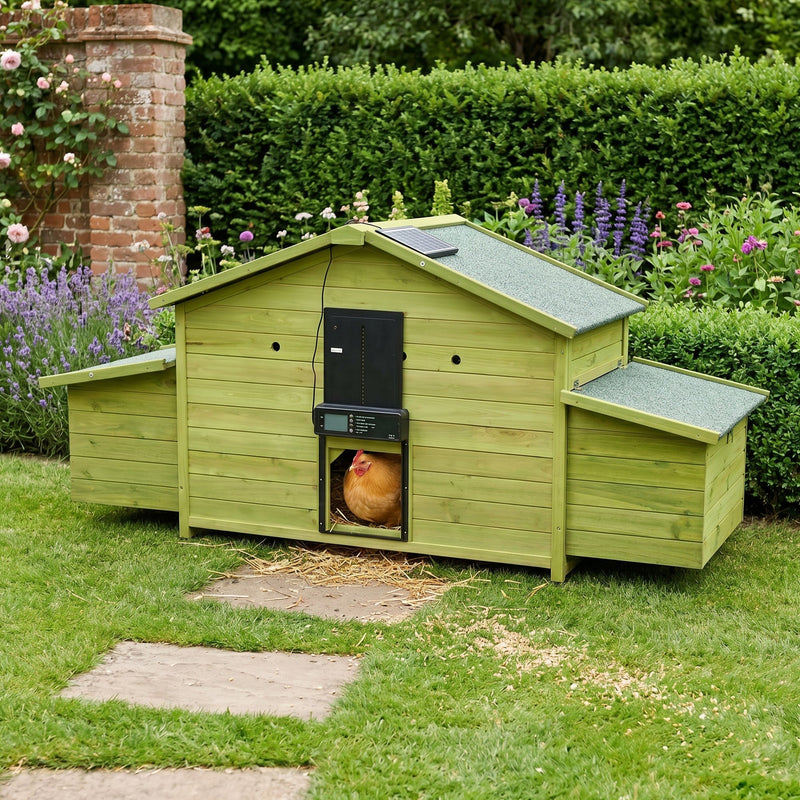 70" Automatic Chicken Coop with Solar-Powered Door by HouseOfZazla