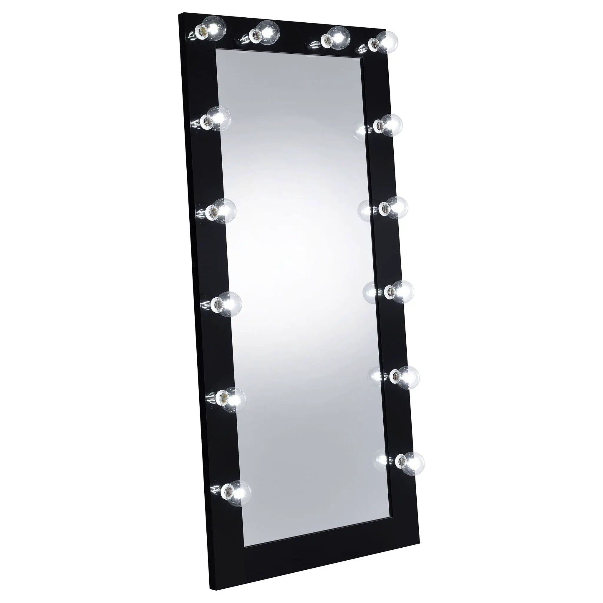 Zayan 32 x 71 Inch Floor Mirror LED Lighting Black Gloss by Unique Piece Furniture
